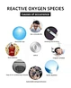 hydrogen water bottle generator